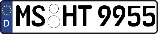 MS-HT9955