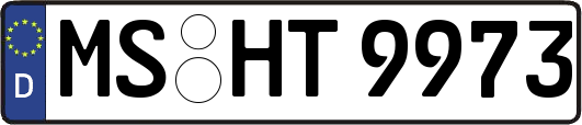 MS-HT9973
