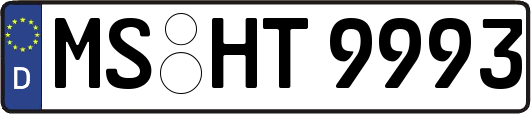 MS-HT9993