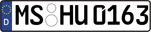 MS-HU0163
