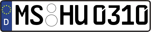 MS-HU0310