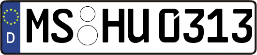 MS-HU0313