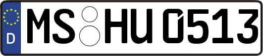 MS-HU0513
