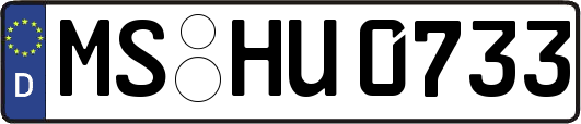 MS-HU0733