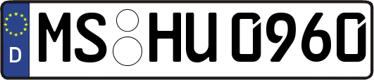 MS-HU0960
