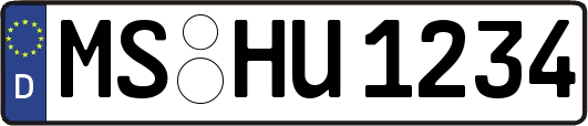 MS-HU1234