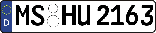 MS-HU2163