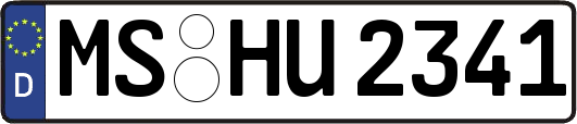 MS-HU2341