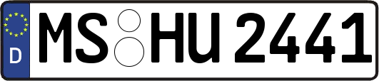MS-HU2441