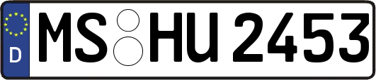 MS-HU2453