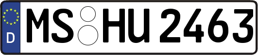 MS-HU2463