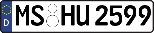 MS-HU2599