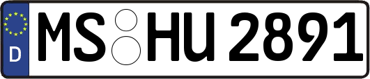 MS-HU2891
