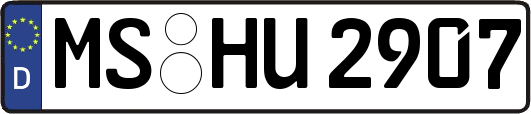 MS-HU2907