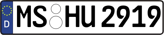 MS-HU2919