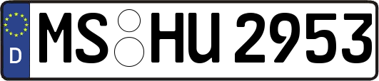 MS-HU2953