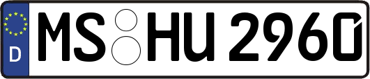 MS-HU2960