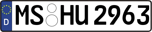 MS-HU2963
