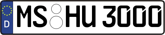 MS-HU3000
