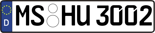 MS-HU3002