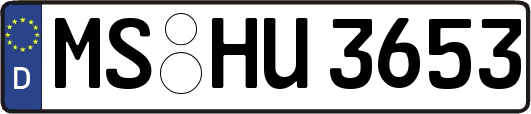 MS-HU3653