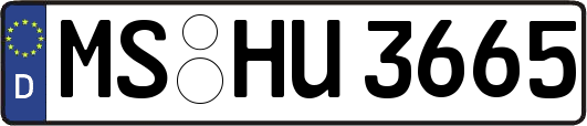 MS-HU3665