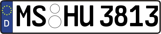 MS-HU3813