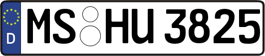 MS-HU3825