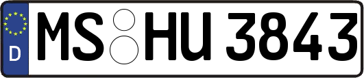 MS-HU3843