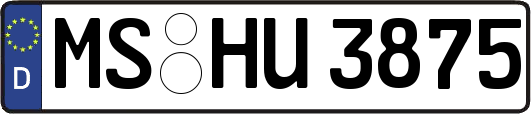 MS-HU3875