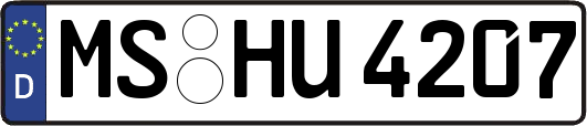 MS-HU4207