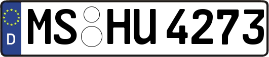 MS-HU4273