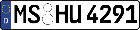 MS-HU4291