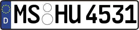 MS-HU4531