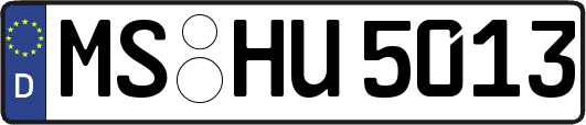 MS-HU5013