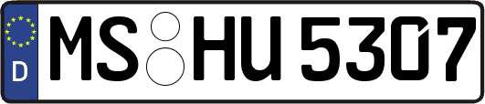MS-HU5307