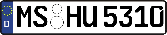 MS-HU5310