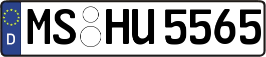 MS-HU5565