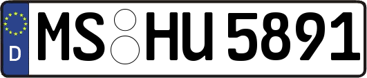MS-HU5891