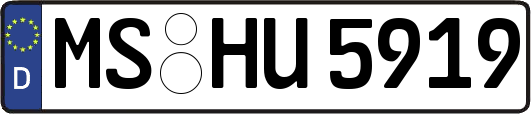 MS-HU5919