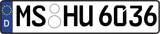MS-HU6036
