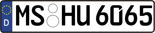 MS-HU6065