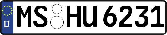 MS-HU6231