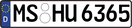 MS-HU6365