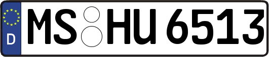 MS-HU6513
