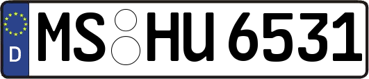 MS-HU6531