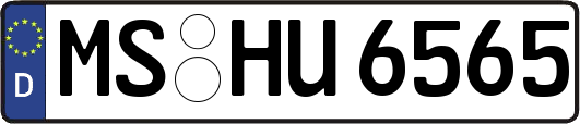 MS-HU6565