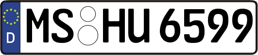 MS-HU6599