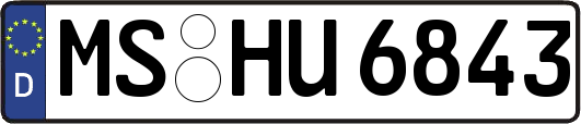 MS-HU6843