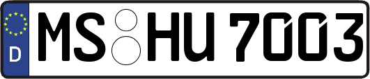 MS-HU7003